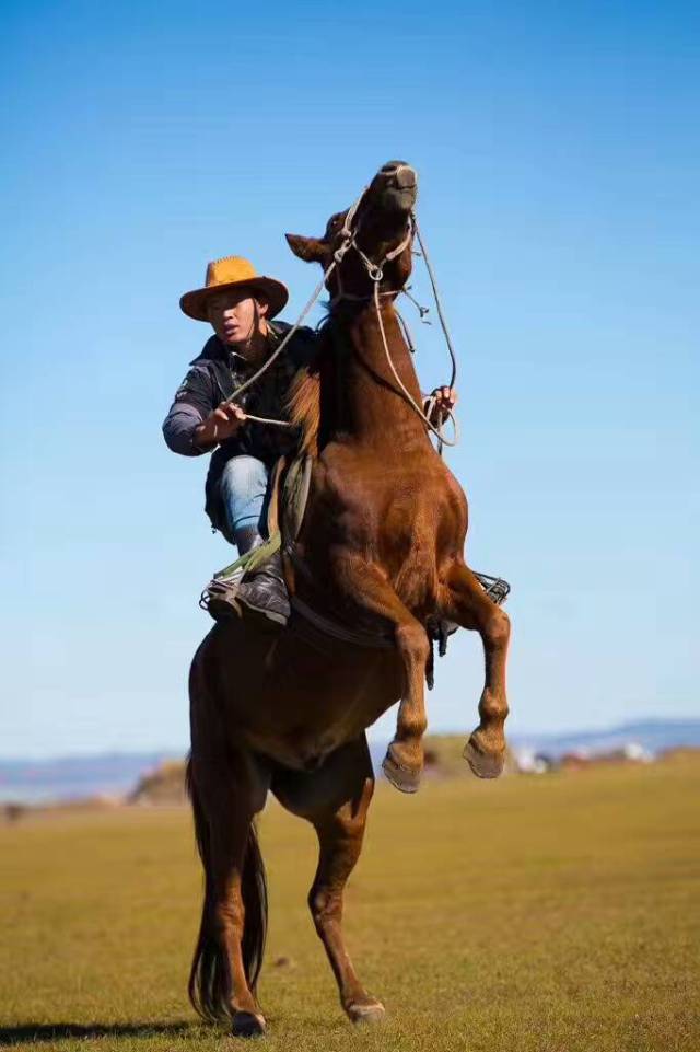 蒙古人骑马唯美图片图片