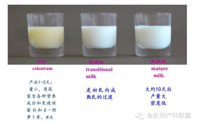 乳汁可分为哪几类图片