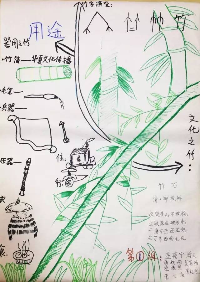竹子的思维导图怎么画图片