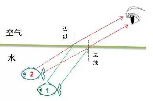 叉鱼折射原理图片