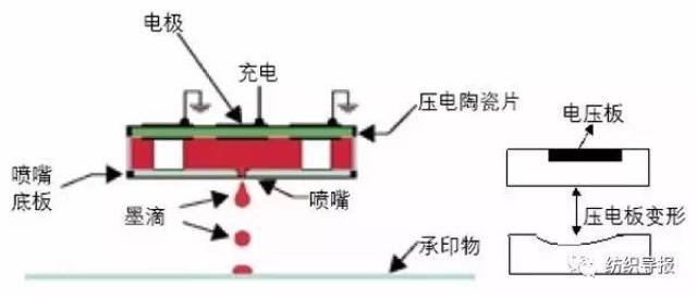 微压电式喷头示意图及其喷墨原理