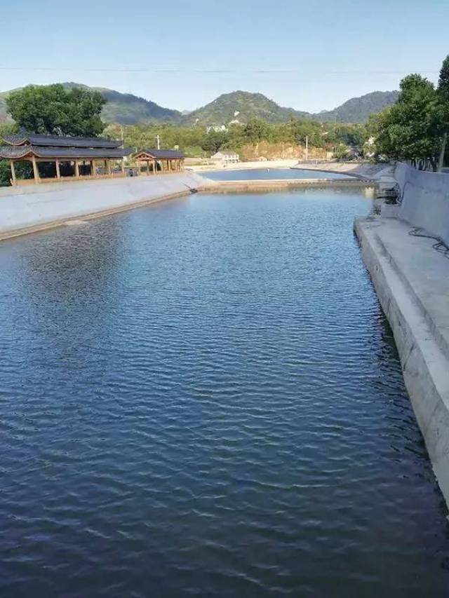 日前,鰲江鎮今年創建的首條