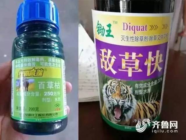 劇毒農藥百草枯被禁一年仍在售,爭議中百草枯禁令何去何從