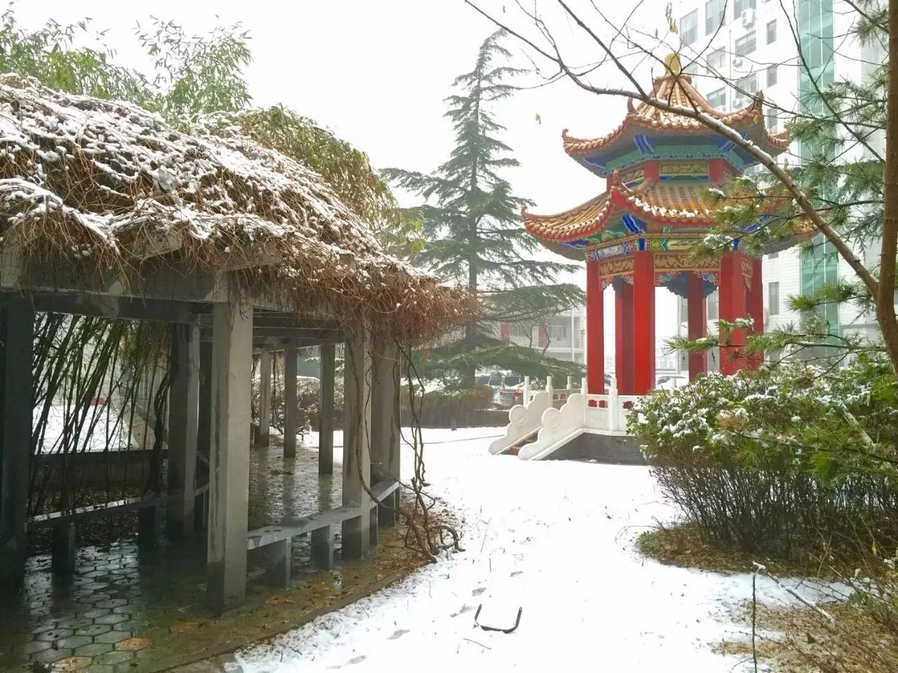 雪!来了▼现在就跟着小编一起来重温雪景吧!