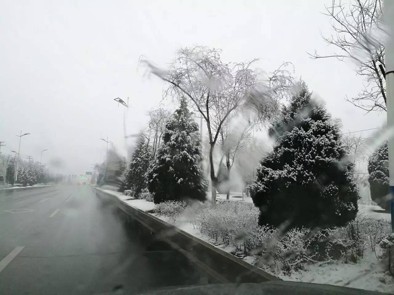 昨晚的雪景都给你准备好了!快来赏雪