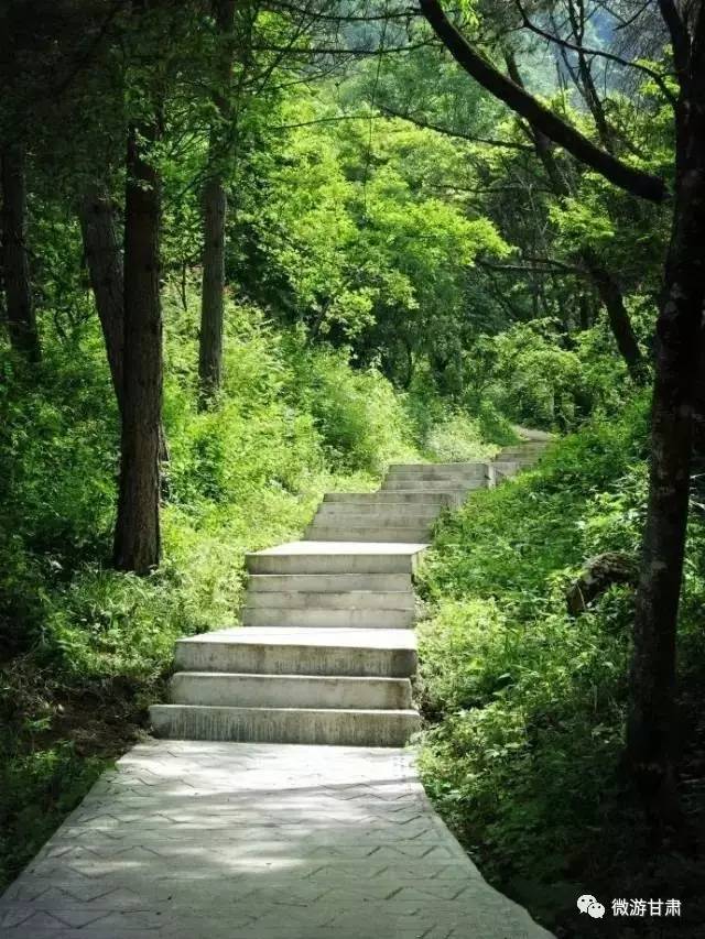 重建時,恭請北京廣濟寺高僧演覺法師賜名天音寺.