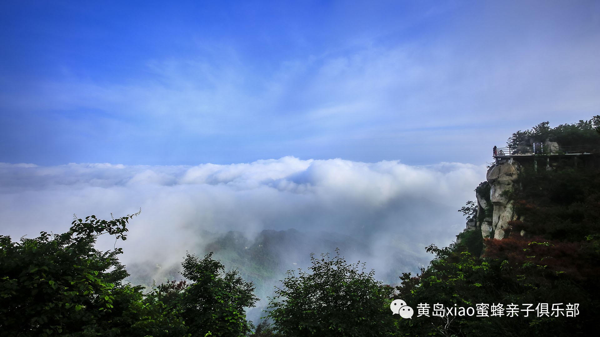 天蒙山 蒙山茶園 雪山彩虹谷 深度體驗二日遊