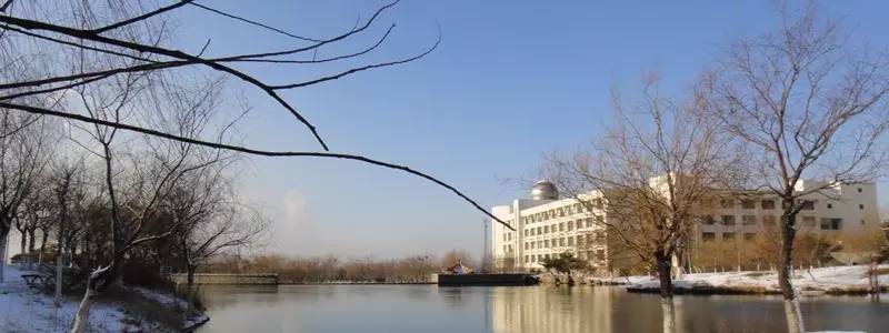 山東專升本學校泰山學院