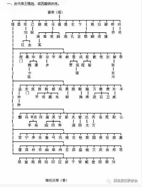 历史 正文 中华姓氏起源脉络图(节选)中展姓的创立 鲁孝公生子四人:长