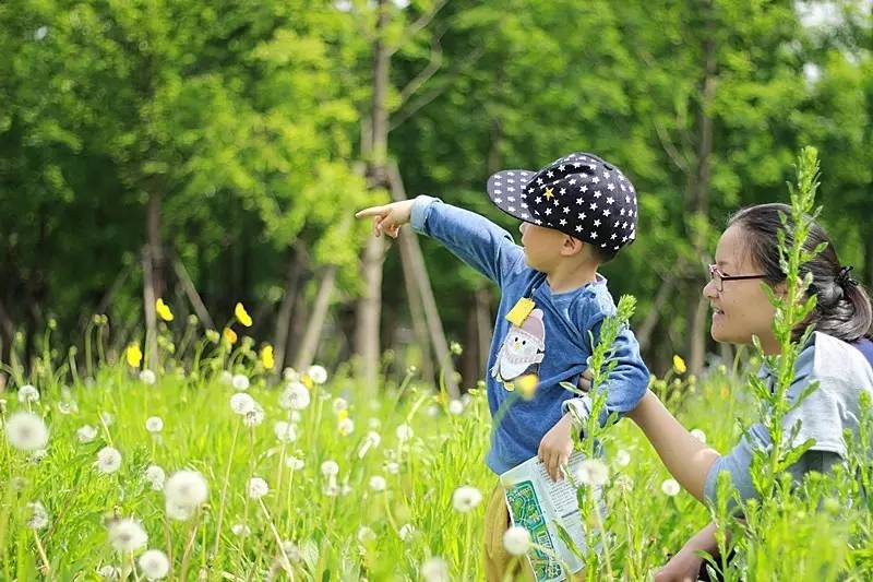 和孩子去植物园闻香识花吧,他们比你想象中更热爱大自然