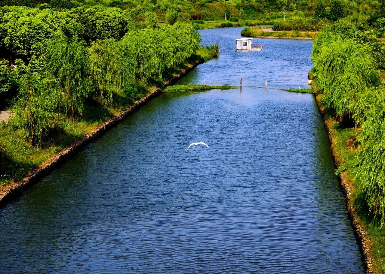 森兰湖及水系,是上海中环边屈指可数的生态绿地此外,浦东将建设从足量