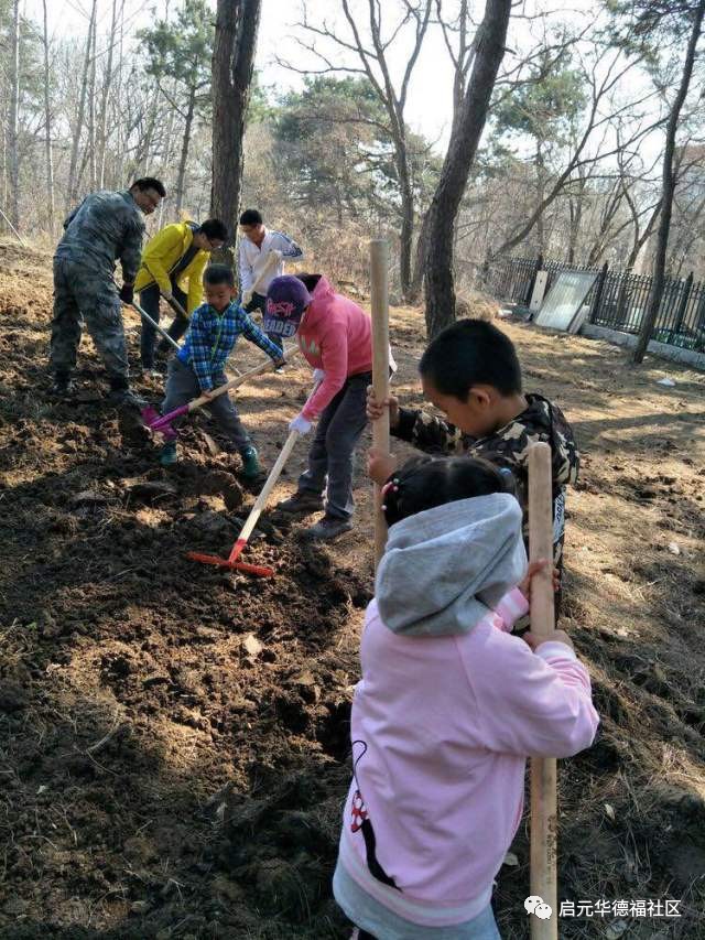 國際最流行的森林教育落戶長春,啟元森林幼兒園——成就孩子的綠色