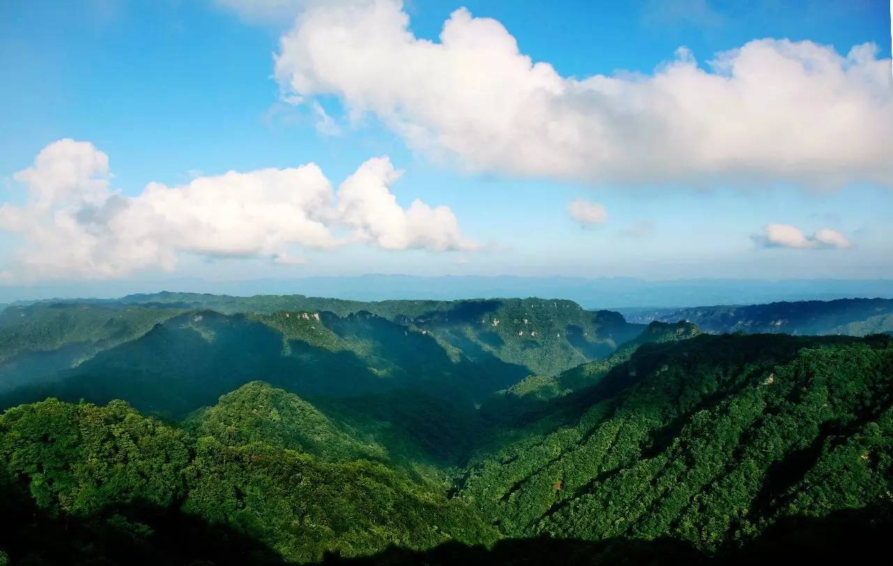 重慶森林氧吧地圖新鮮出爐我縣黃水國家森林公園榜上有名