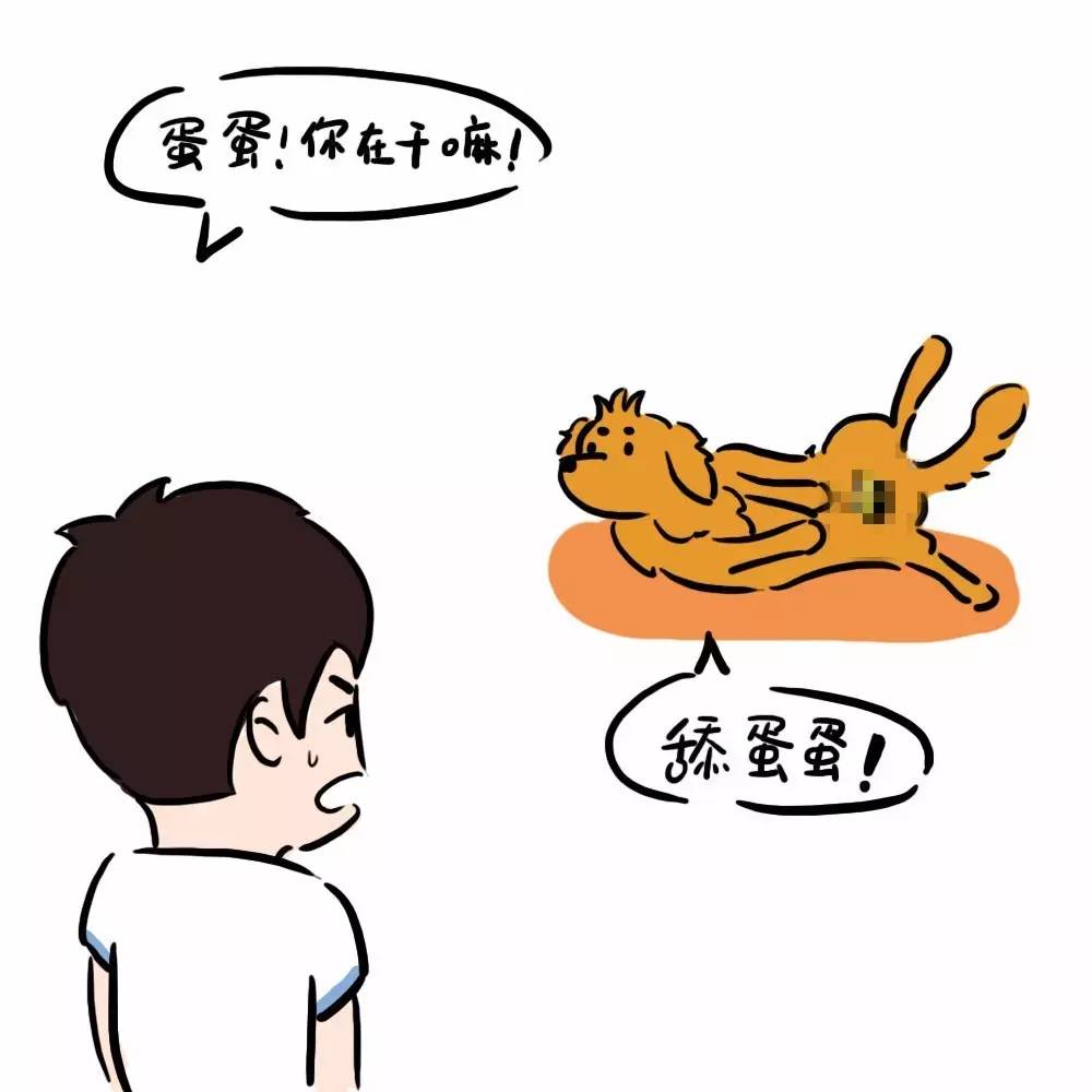 鸡飞蛋打 漫画图片