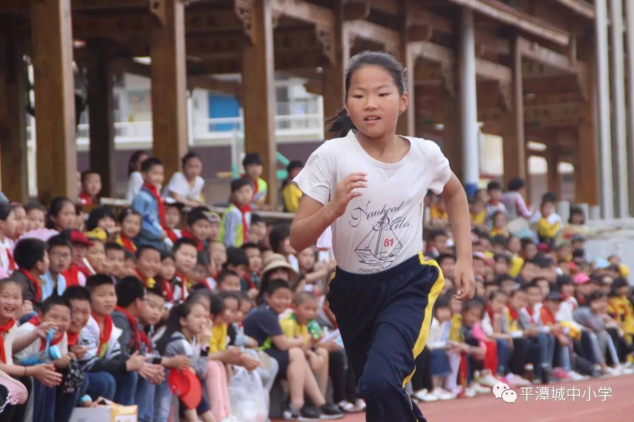 平潭城中小学校花图片