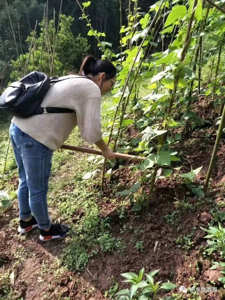 赤水肖艳简介图片