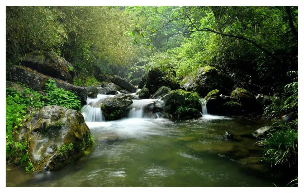 嵩县六龙山景区图片