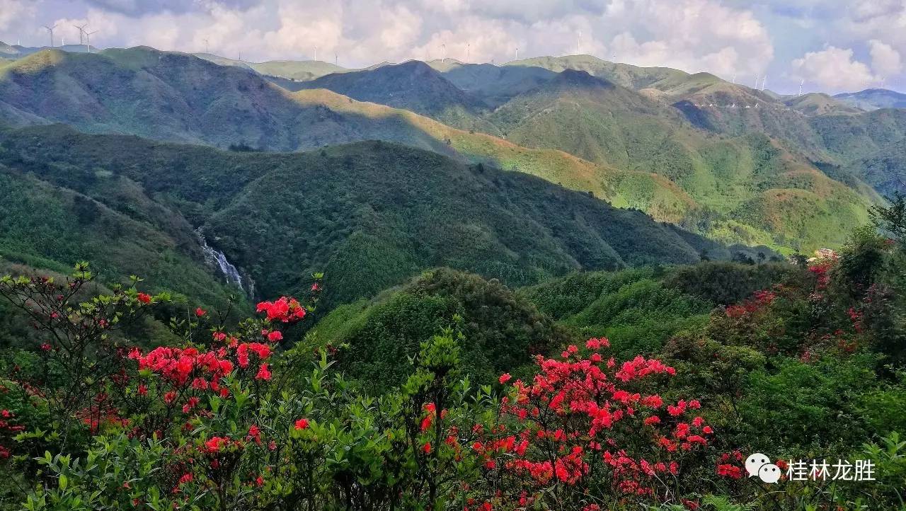 龙胜小南山图片