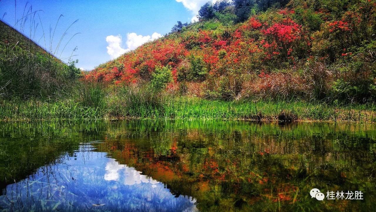 龙胜小南山图片