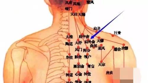 肩颈窝位置示意图图片