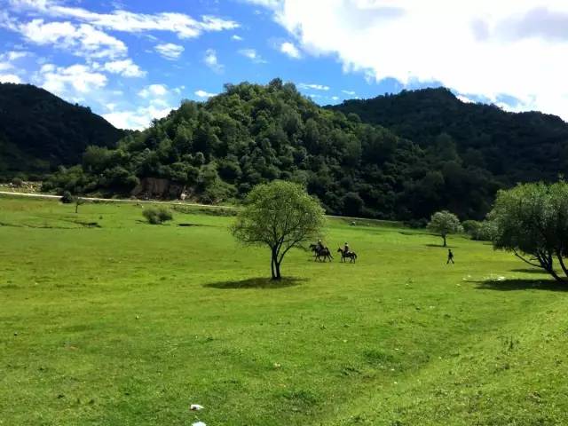 519中國旅遊日隴縣關山草原門票半價優惠