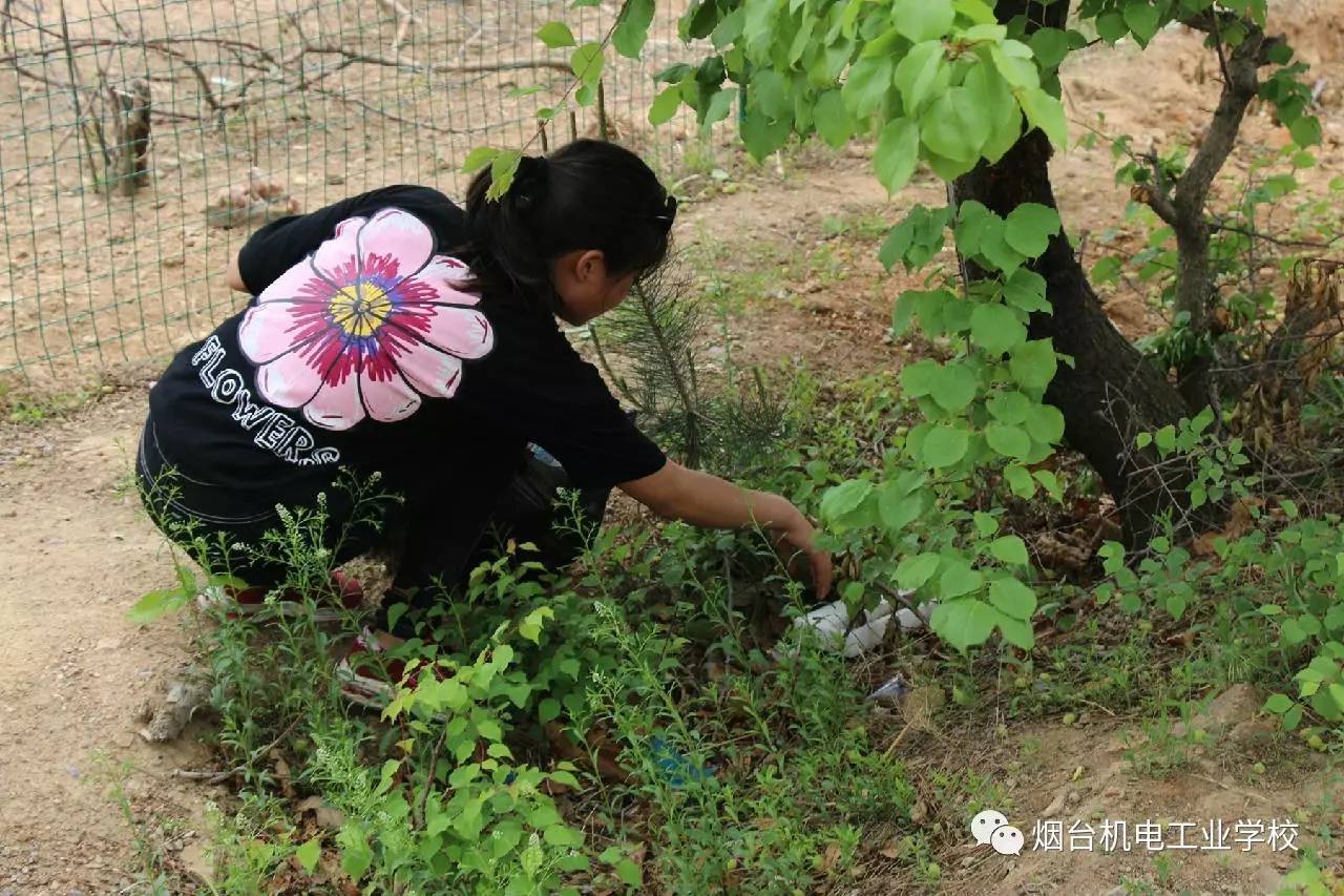 踏上归程16:30,所有师生全部安全返校,远足活动圆满结束.