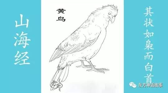 《山海经》异兽奇鸟—鸪[习鸟,黄鸟