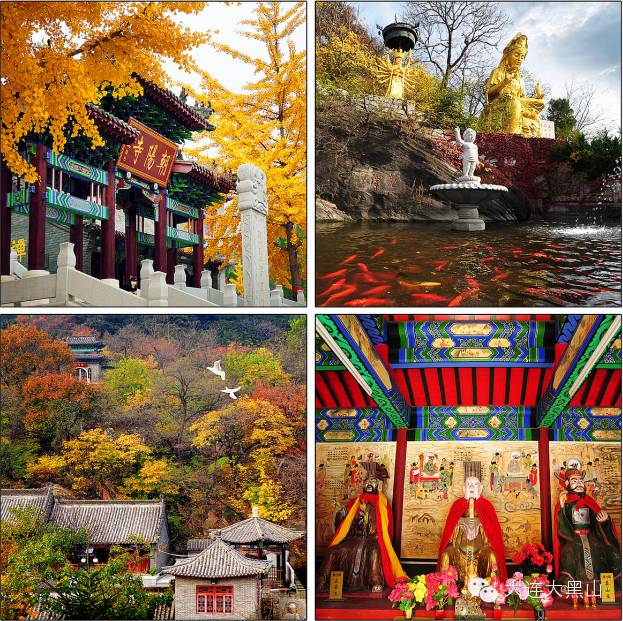 所以2017年大黑山朝陽寺廟會就以祈福消災為主題,加持風調雨順,祈願普