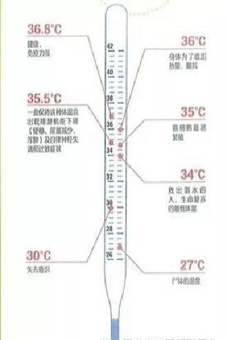 人体正常温度范围图片