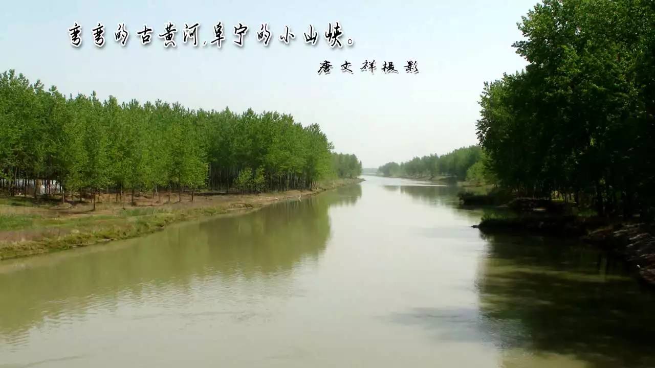 苏北黄河故道图片