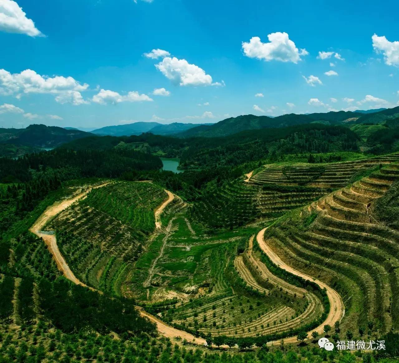 團結等村 聯合鄉486人 分佈在惠州,湖洋等村 △尤溪口鎮 西濱鎮,尤溪