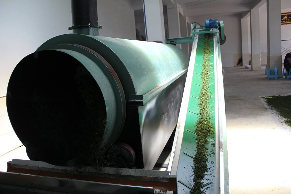 (柏杨) 首个自建小型茶厂开机生产