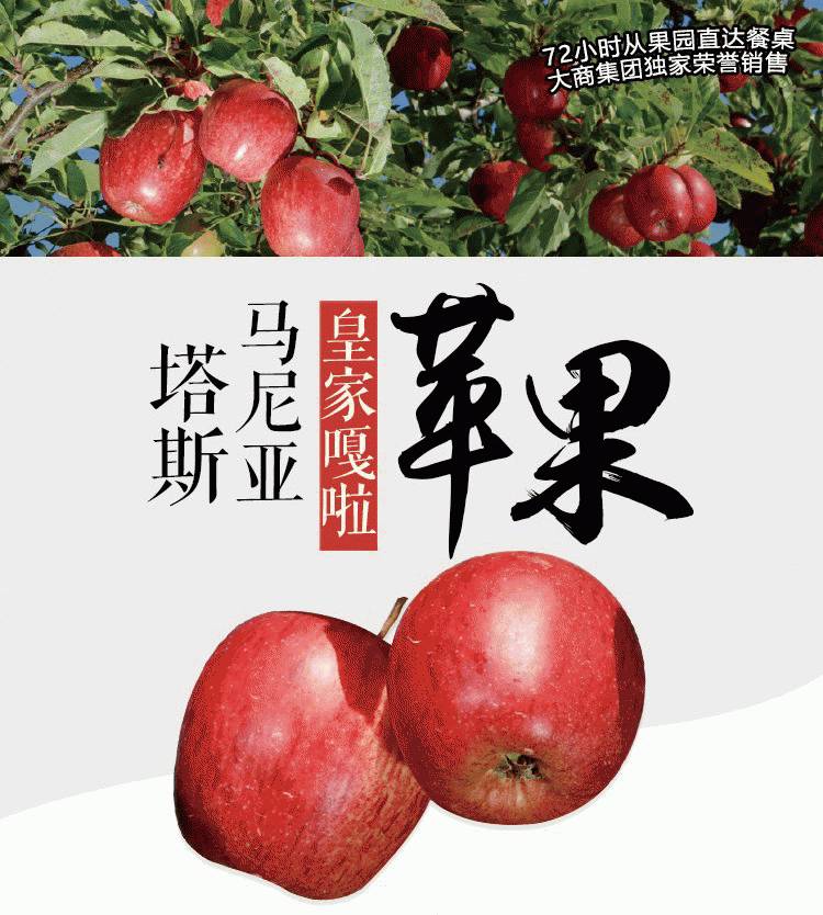 开原新玛特/空运直达!塔斯马尼亚皇家嘎啦苹果即将入驻!