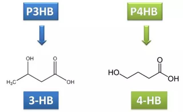 【連載】漫談pha(5)潛力無限用處多——神奇的pha 降解產物