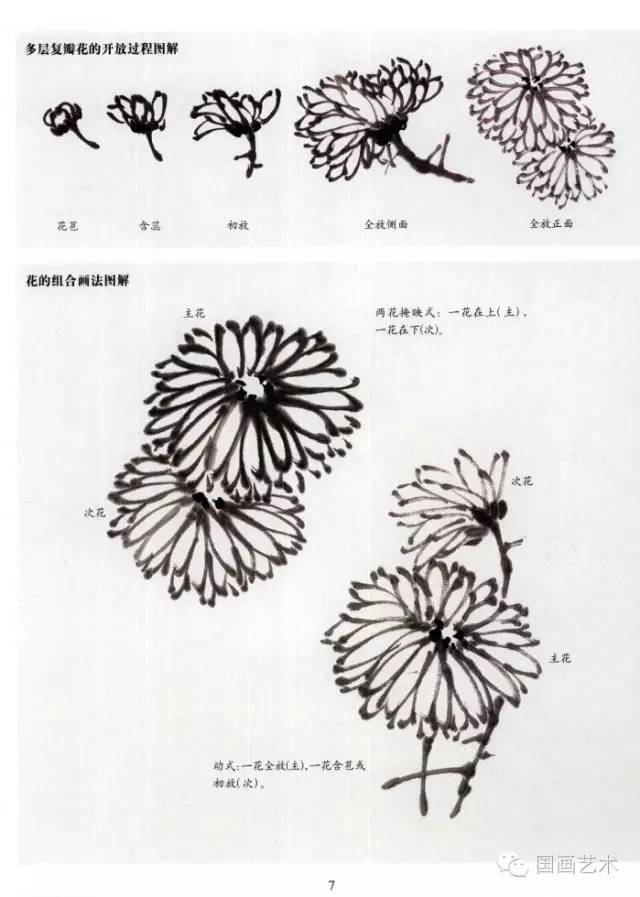 菊花国画教程简单图片