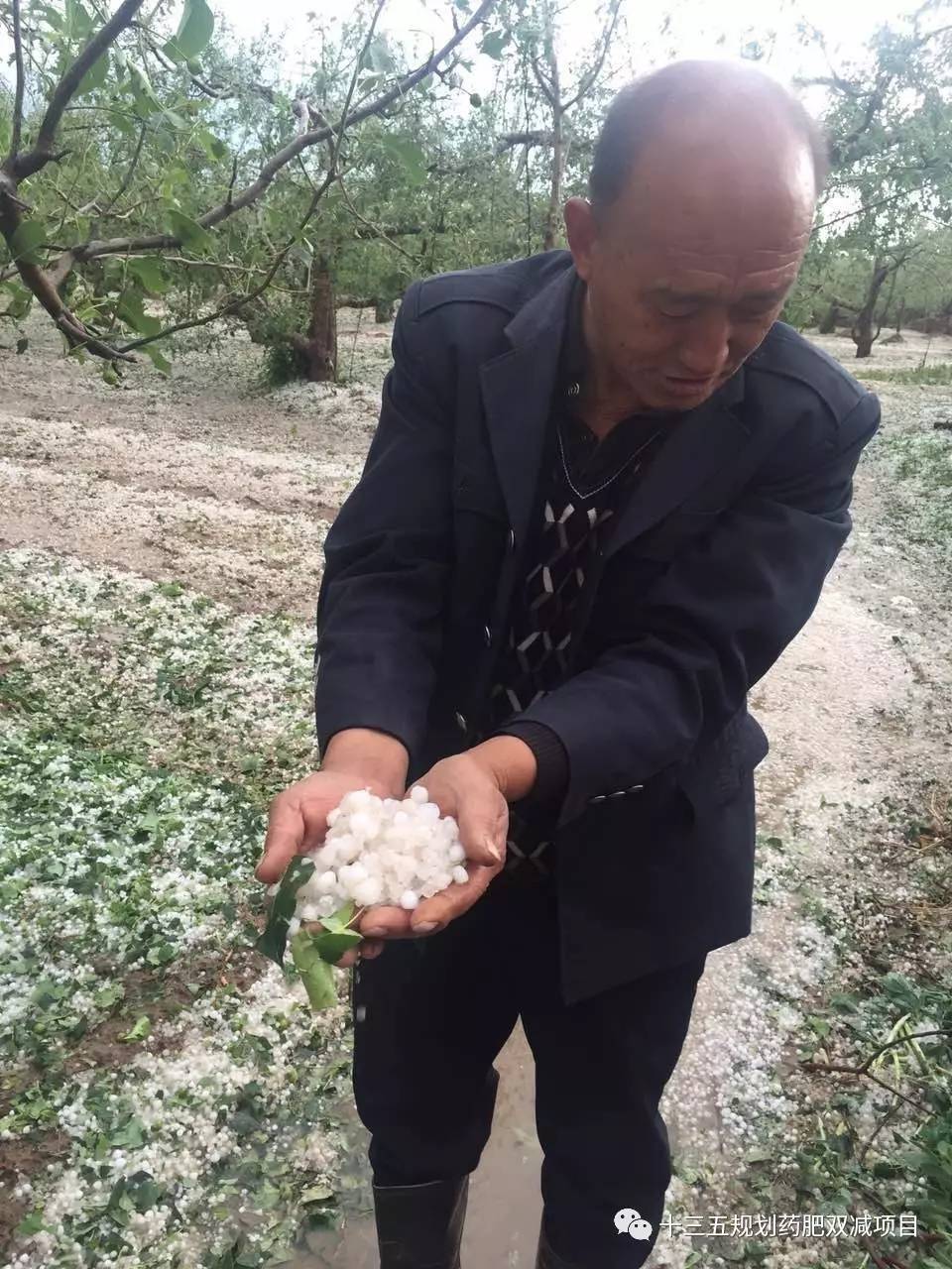 洛川下冰雹图片