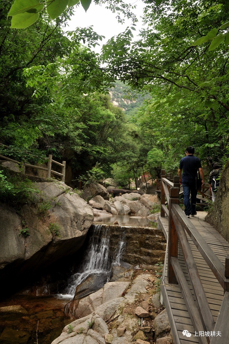 鲁山画眉谷旅游景区图片