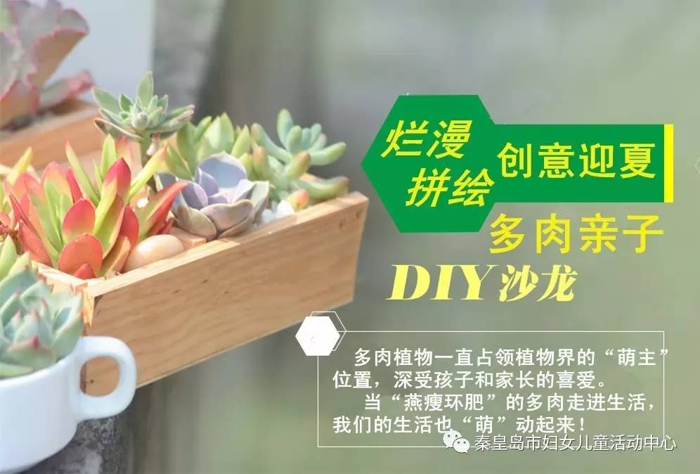 创意迎夏 多肉亲子diy