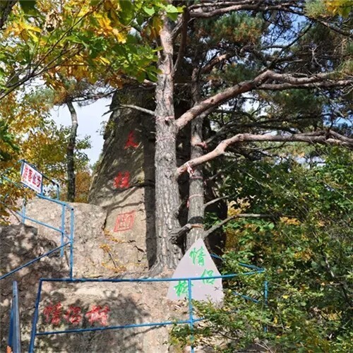 青旅走進自然主題活動推薦本溪關山湖景區遊湖爬山為鳥兒築巢含遊船