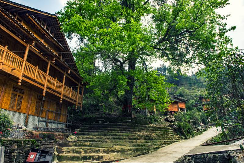 荔波有座山山下有個寨裡面住著一群神仙的後代