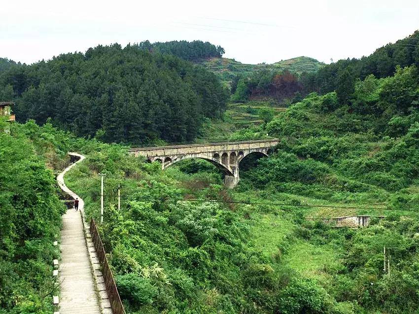 遵义团溪镇五龙村图片