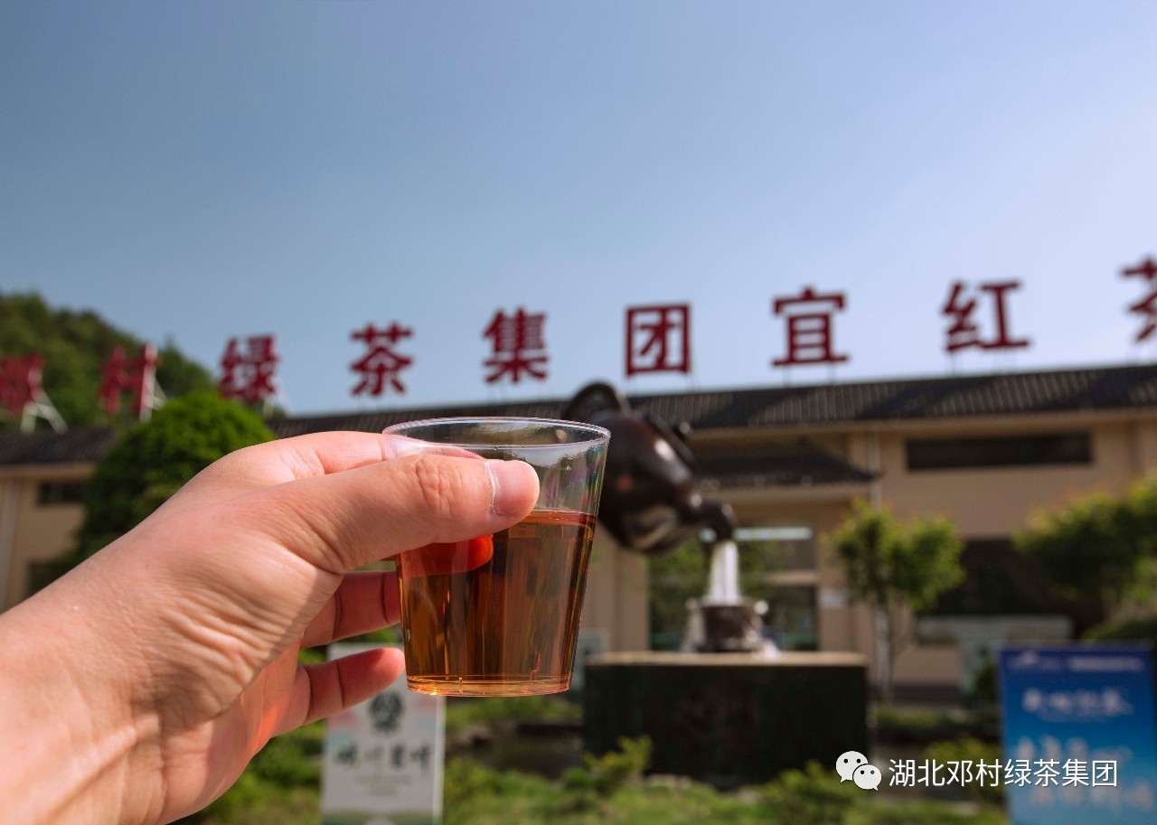 初夏艳阳天茶谷寻亮点走进茶乡新闻摄影研讨班来邓村绿茶集团采青