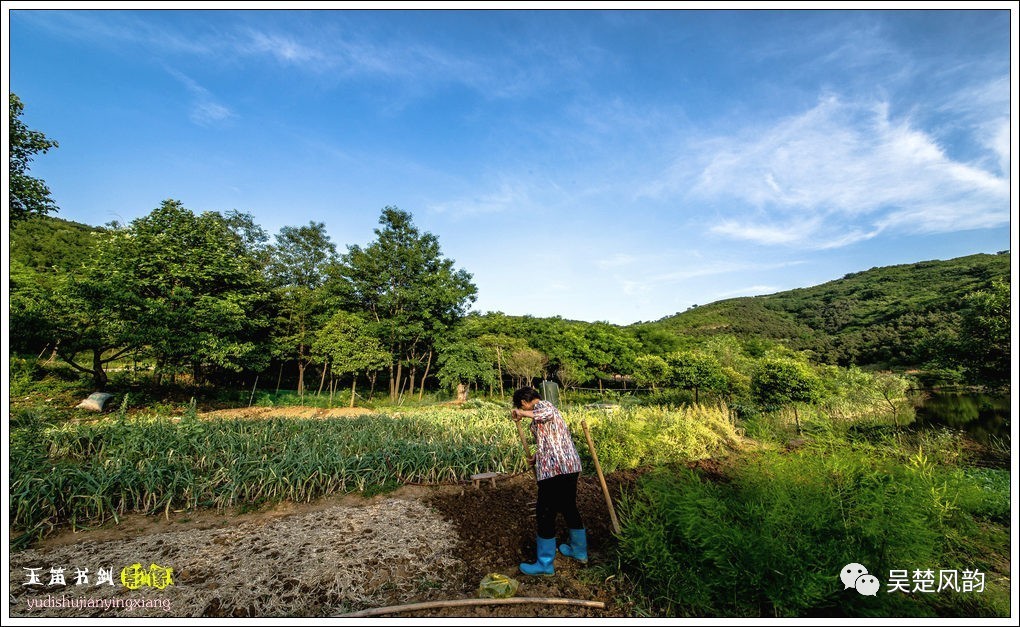 大美石塘初夏時節的浮槎山森林公園