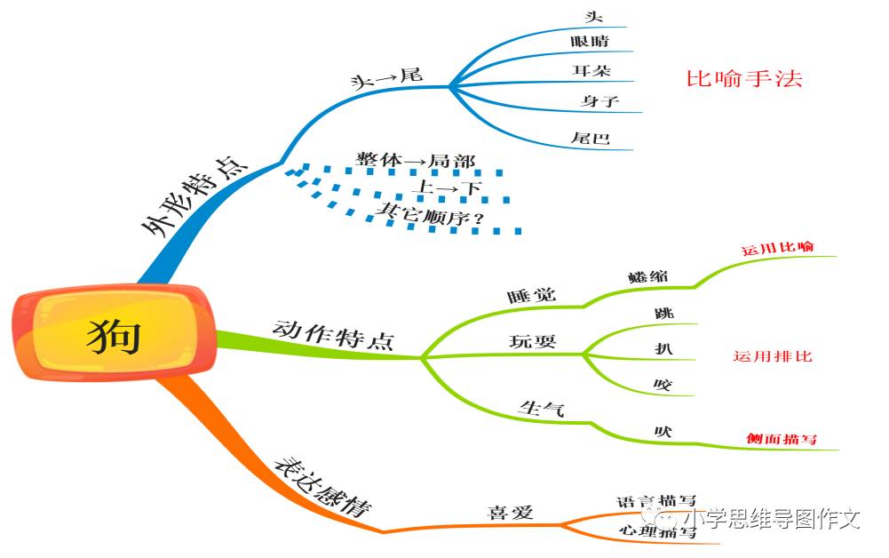 如何使用思維導圖學語文寫作文翠鳥舉例分析