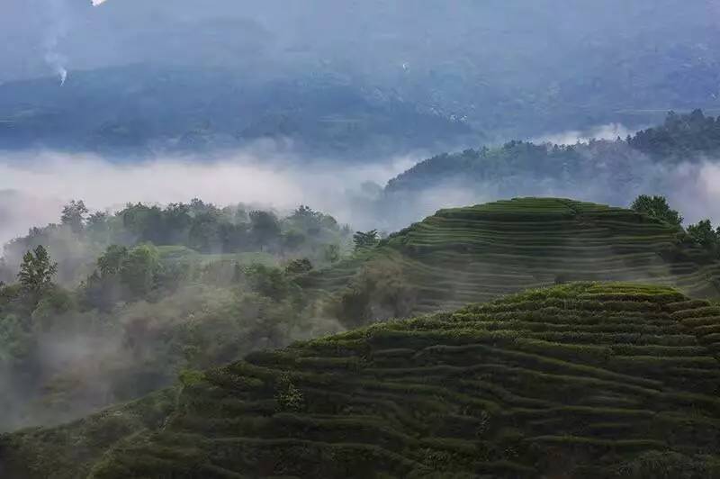 协会活动名山区双河乡金鼓村惊现大地指纹成都企业家摄影协会组织前往