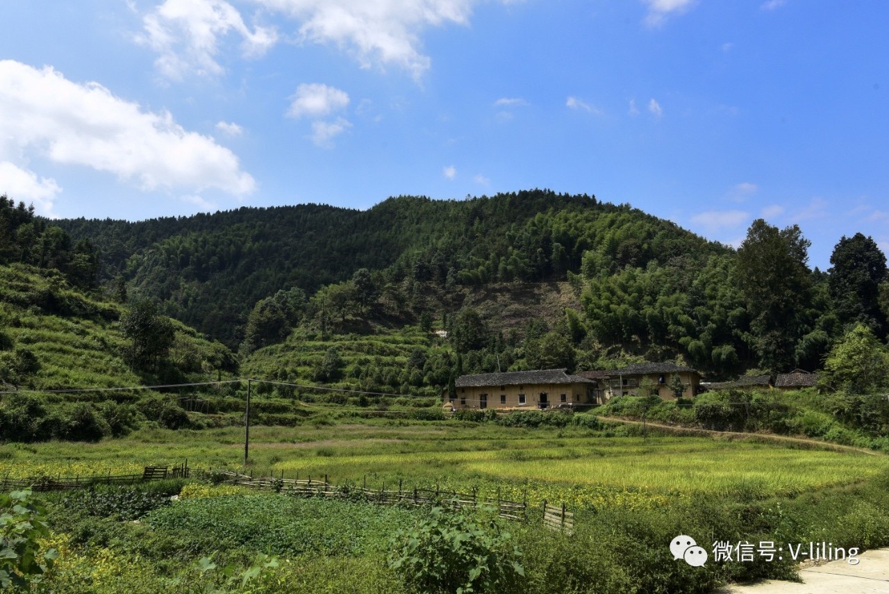 美景来看看醴陵美丽乡村官庄横江村的风光吧