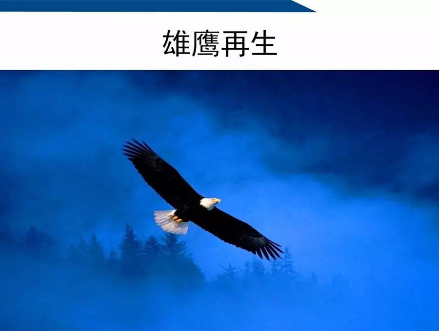 在大会的最后,王校长和全体教职工分享了一个雄鹰再生的故事.