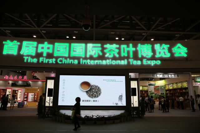 杭州茶叶博览会图片