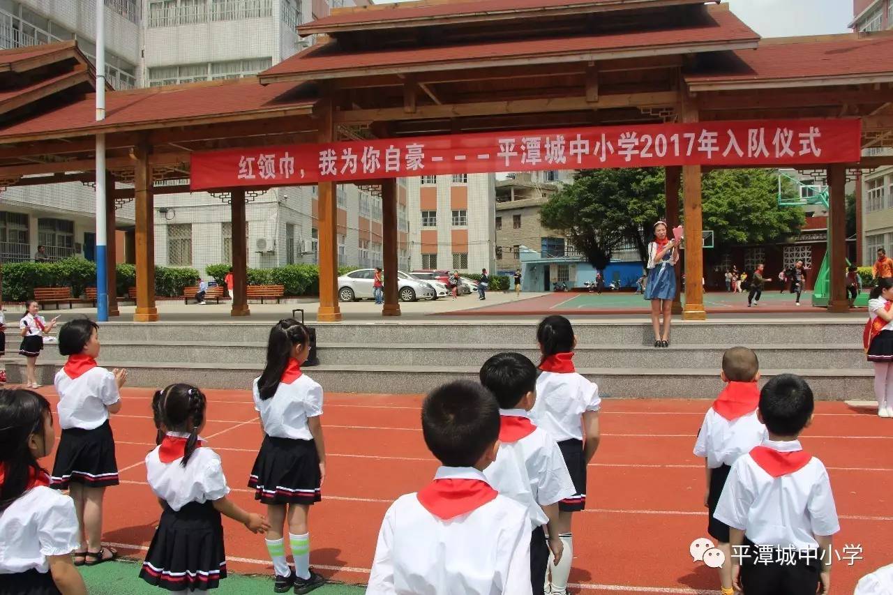 平潭城中小学校花图片