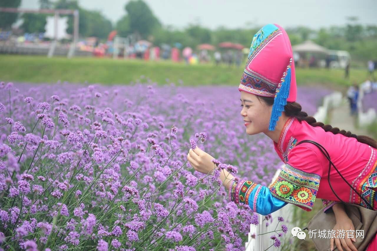 5 月 19 日中国旅游日，来宾旅游福利来袭！忻城浪漫与古朴等你来